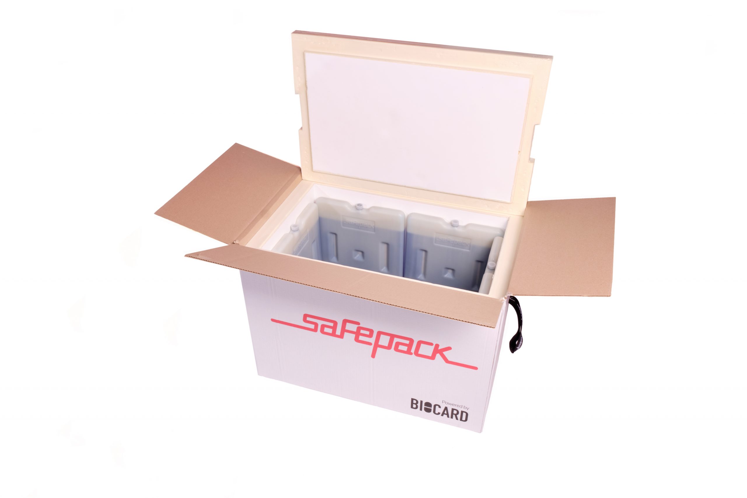 ТЕРМОКОНТЕЙНЕР SAFEPACK SP-50 PPU В ГОФРОКОРОБЕ